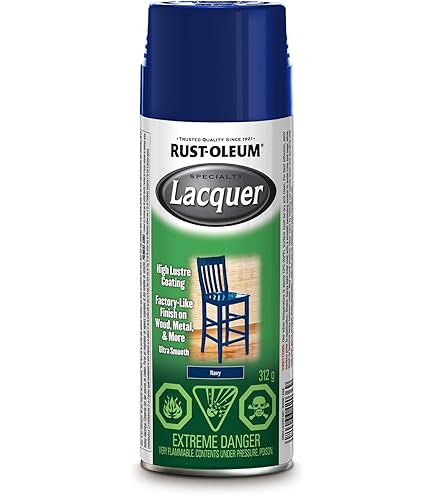 Rust-Oleum 249098 Painter's Touch Multi Purpose Spray Paint, 12